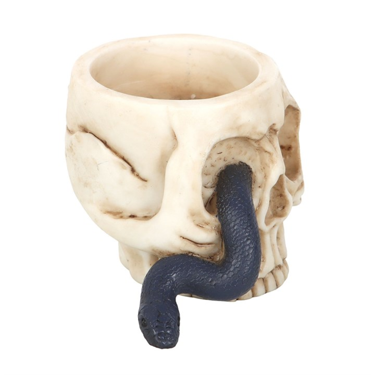 Crâne Bougeoir Chauffe-plat avec Serpent
