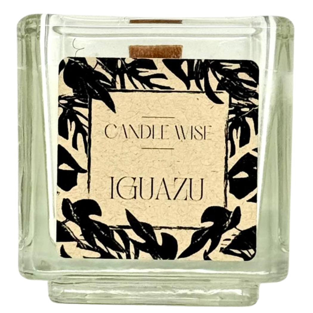 🌿 Iguazú Mini Travel Candle – Pure, Invigorating & Inspired by the Falls 🌧️✨