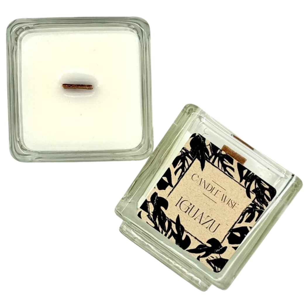 🌿 Iguazú Mini Travel Candle – Pure, Invigorating & Inspired by the Falls 🌧️✨