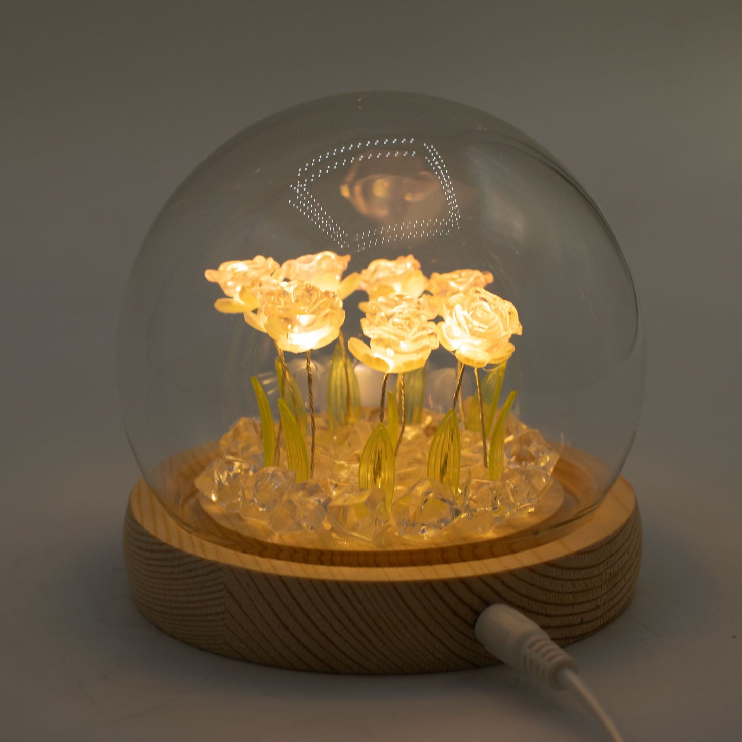 Floral Glow Garden Dome – 10 Pink Roses (USB LED Glass Dome)