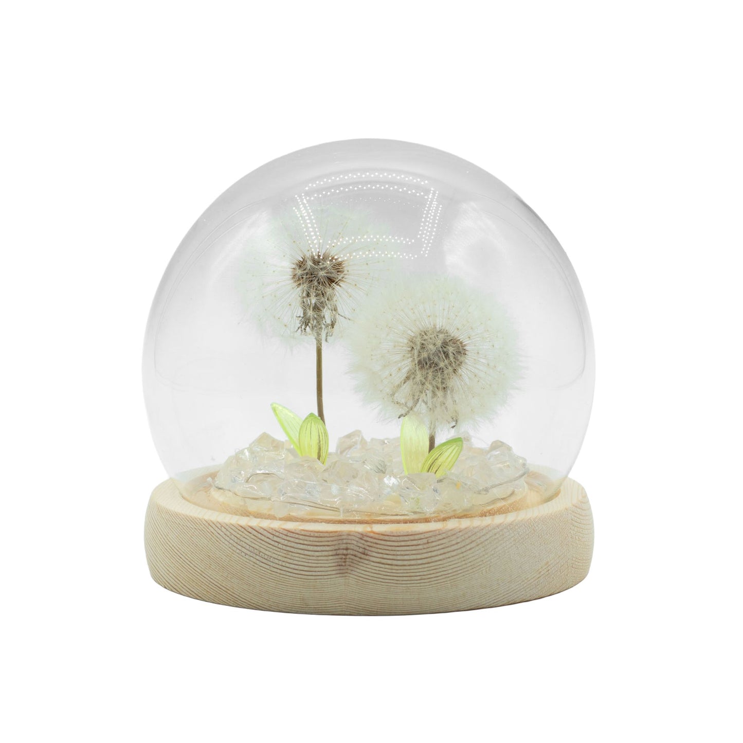 Floral Glow Garden Dome – 2 Dandelions 🌼✨ | Ambient LED Glass Dome Lamp on Wooden Base