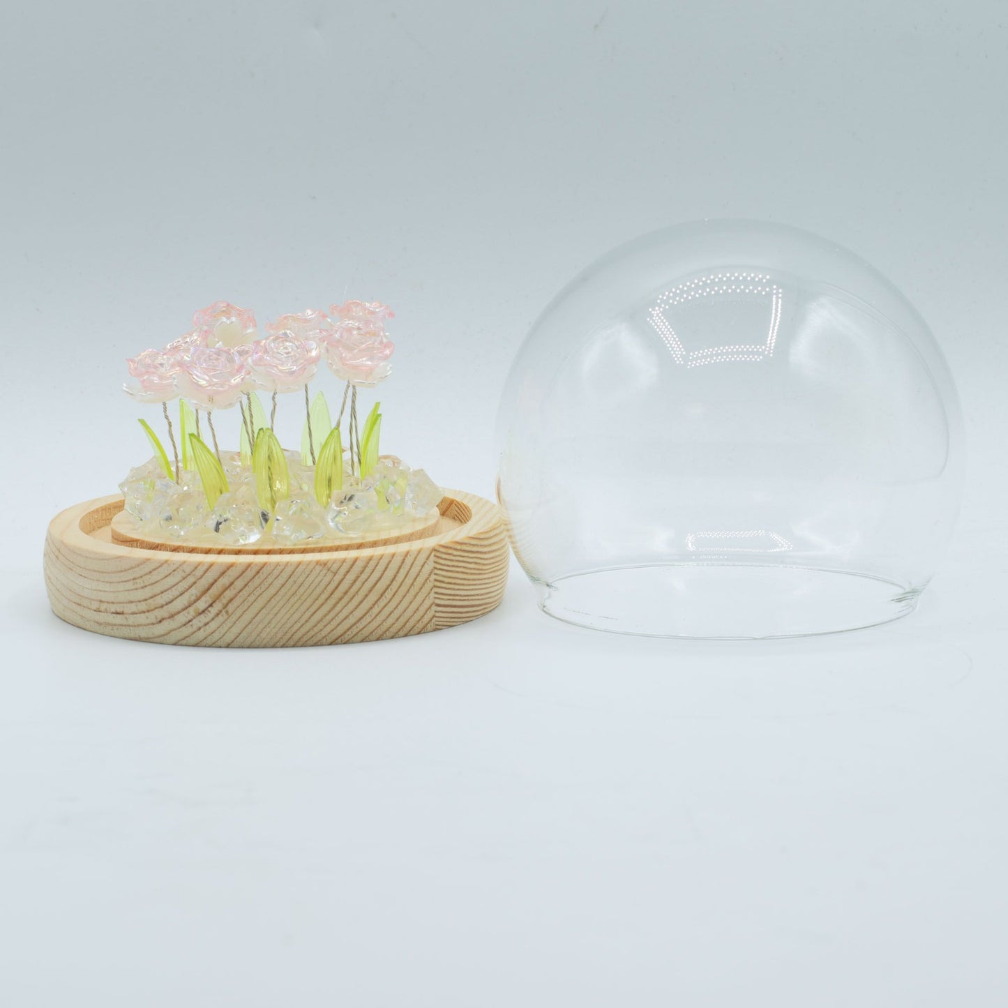 Floral Glow Garden Dome – 10 Pink Roses (USB LED Glass Dome)