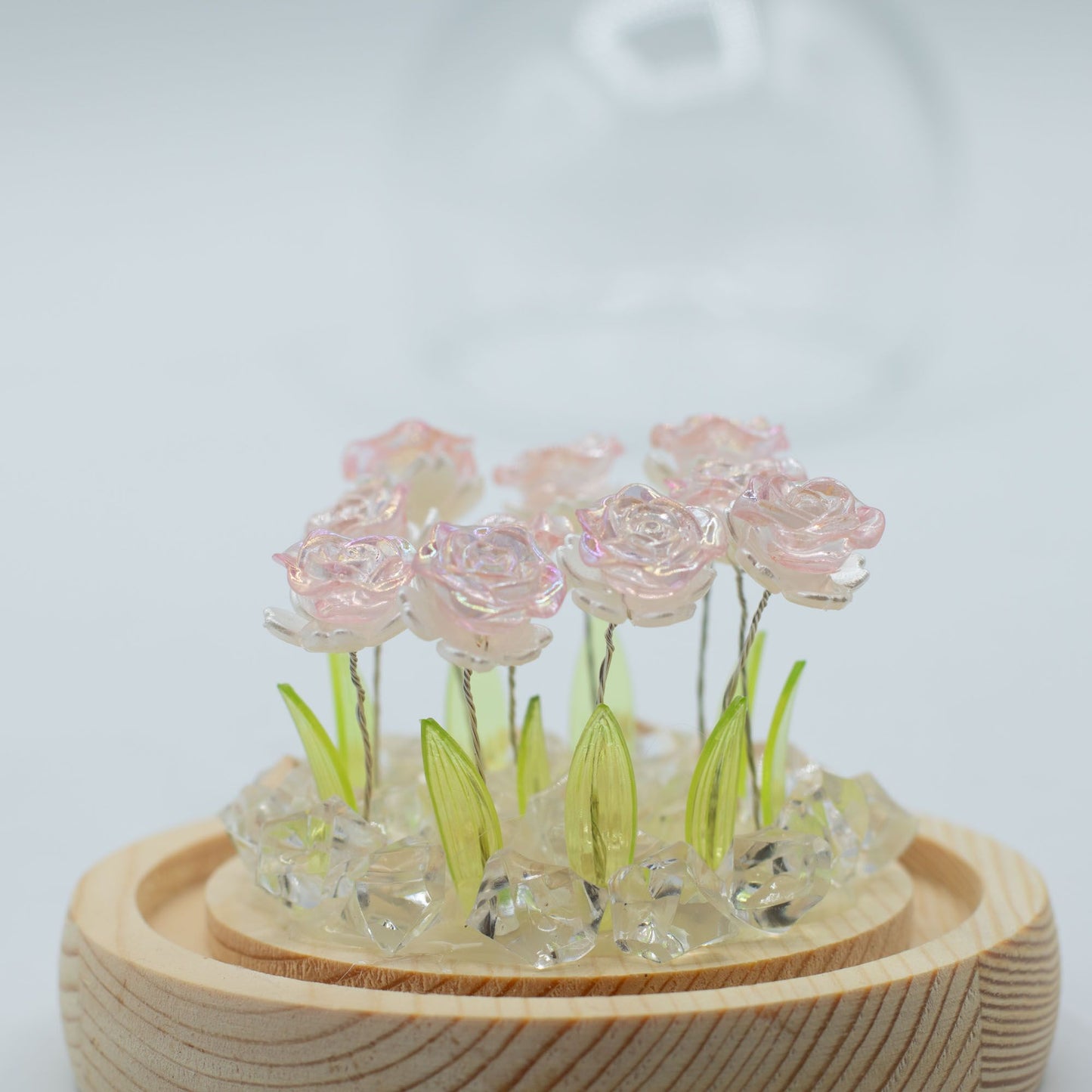 Floral Glow Garden Dome – 10 Pink Roses (USB LED Glass Dome)