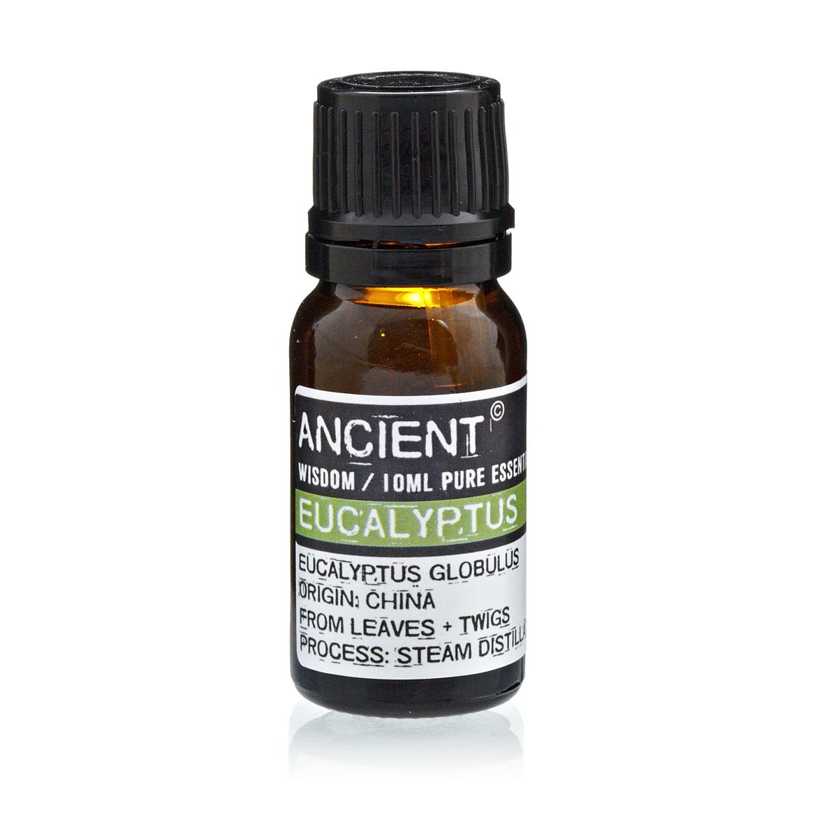 ✨ Eucalyptus Essential Oil 10ml – Pure Eucalyptus globulus for Fresh Air, Clear Breath & Natural Energy ✨