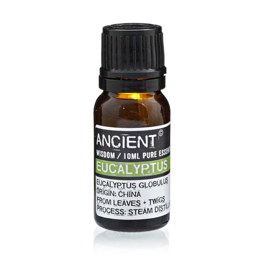 ✨ Eucalyptus Essential Oil 10ml – Pure Eucalyptus globulus for Fresh Air, Clear Breath & Natural Energy ✨