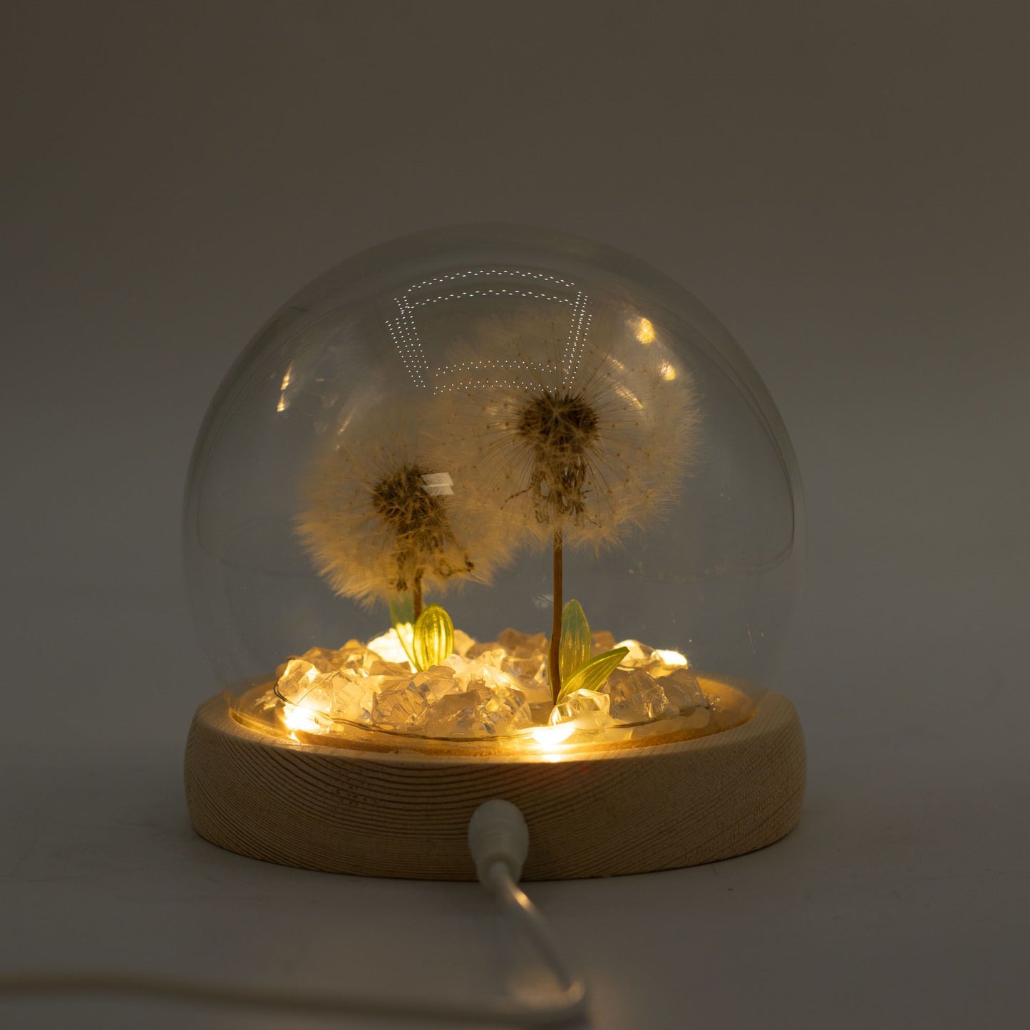 Floral Glow Garden Dome – 2 Dandelions 🌼✨ | Ambient LED Glass Dome Lamp on Wooden Base