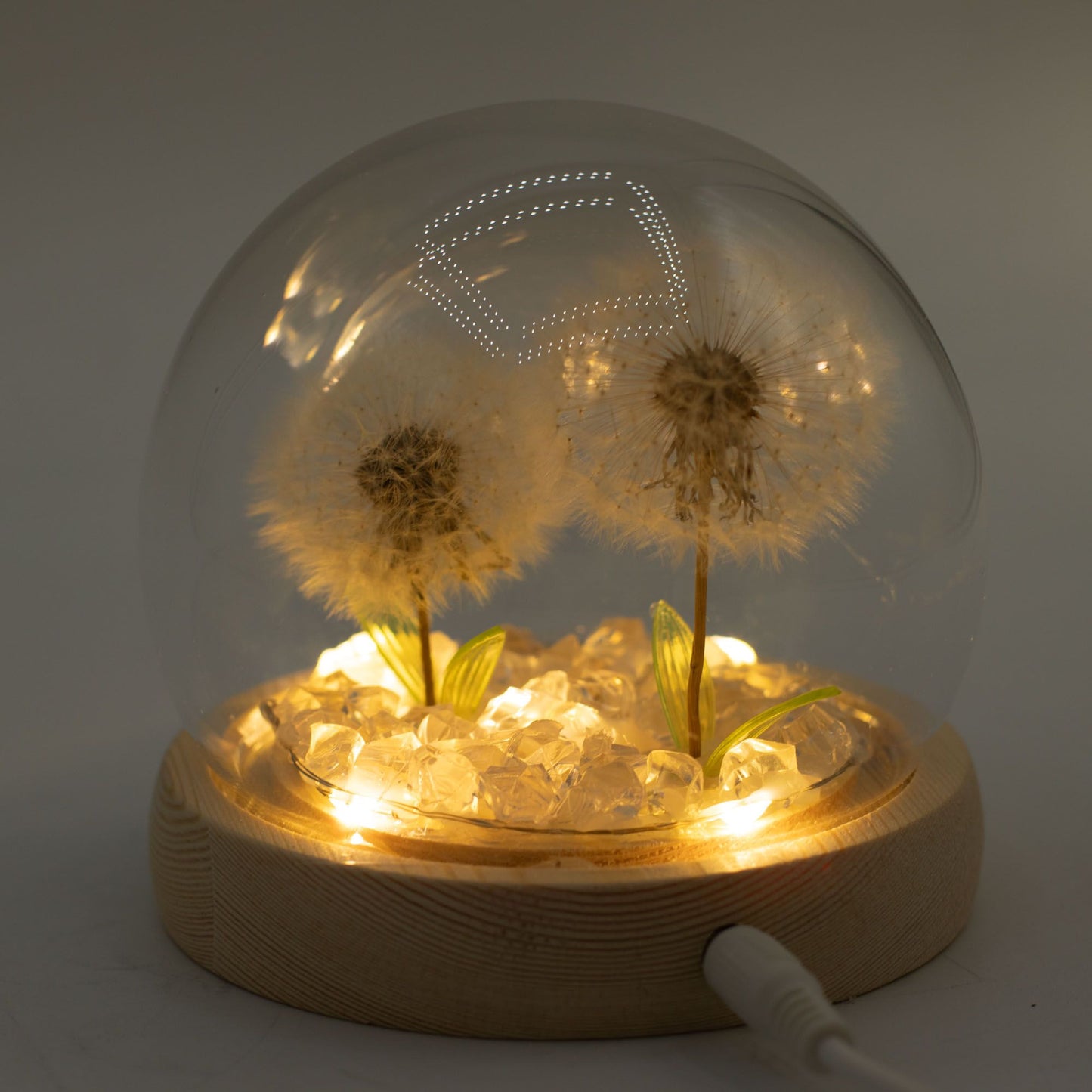 Floral Glow Garden Dome – 2 Dandelions 🌼✨ | Ambient LED Glass Dome Lamp on Wooden Base