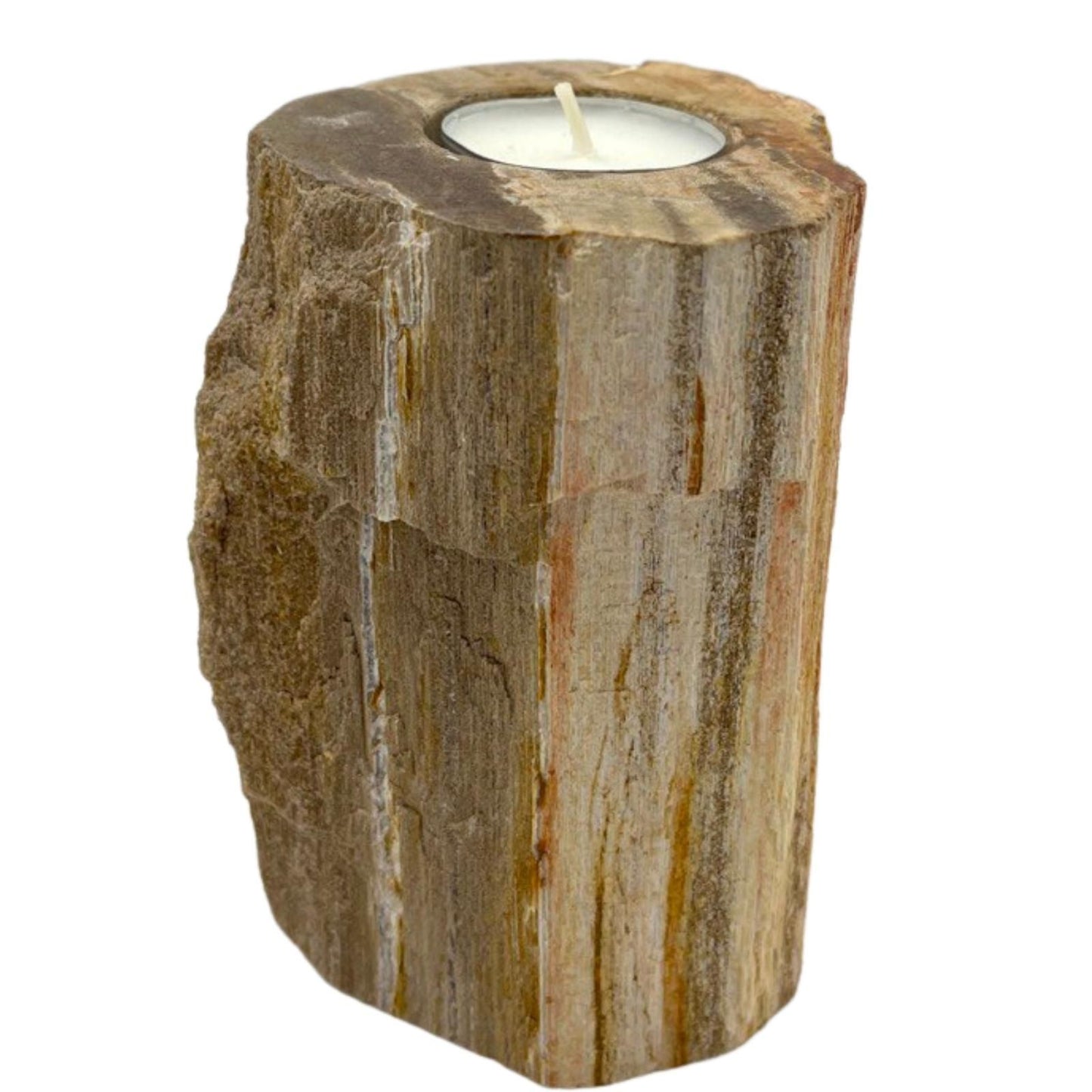 Portavelas de madera petrificada tallado a mano - Decoración rústica para el hogar