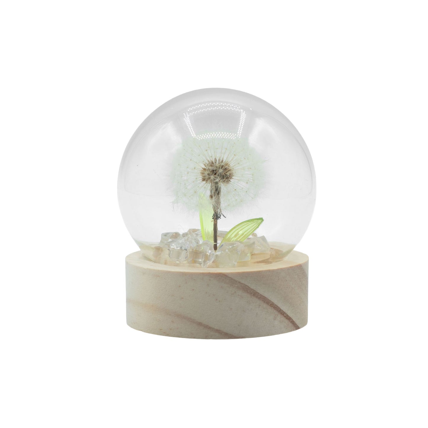 Floral Glow Garden Dome – 1 Dandelion LED Light (Wooden Base, Battery Powered)