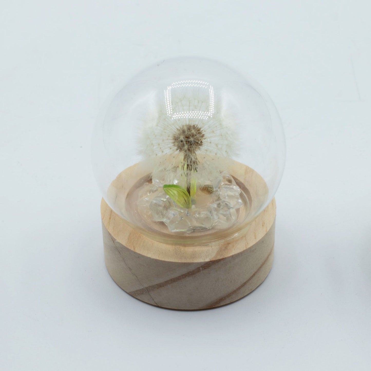 Floral Glow Garden Dome – 1 Dandelion LED Light (Wooden Base, Battery Powered)
