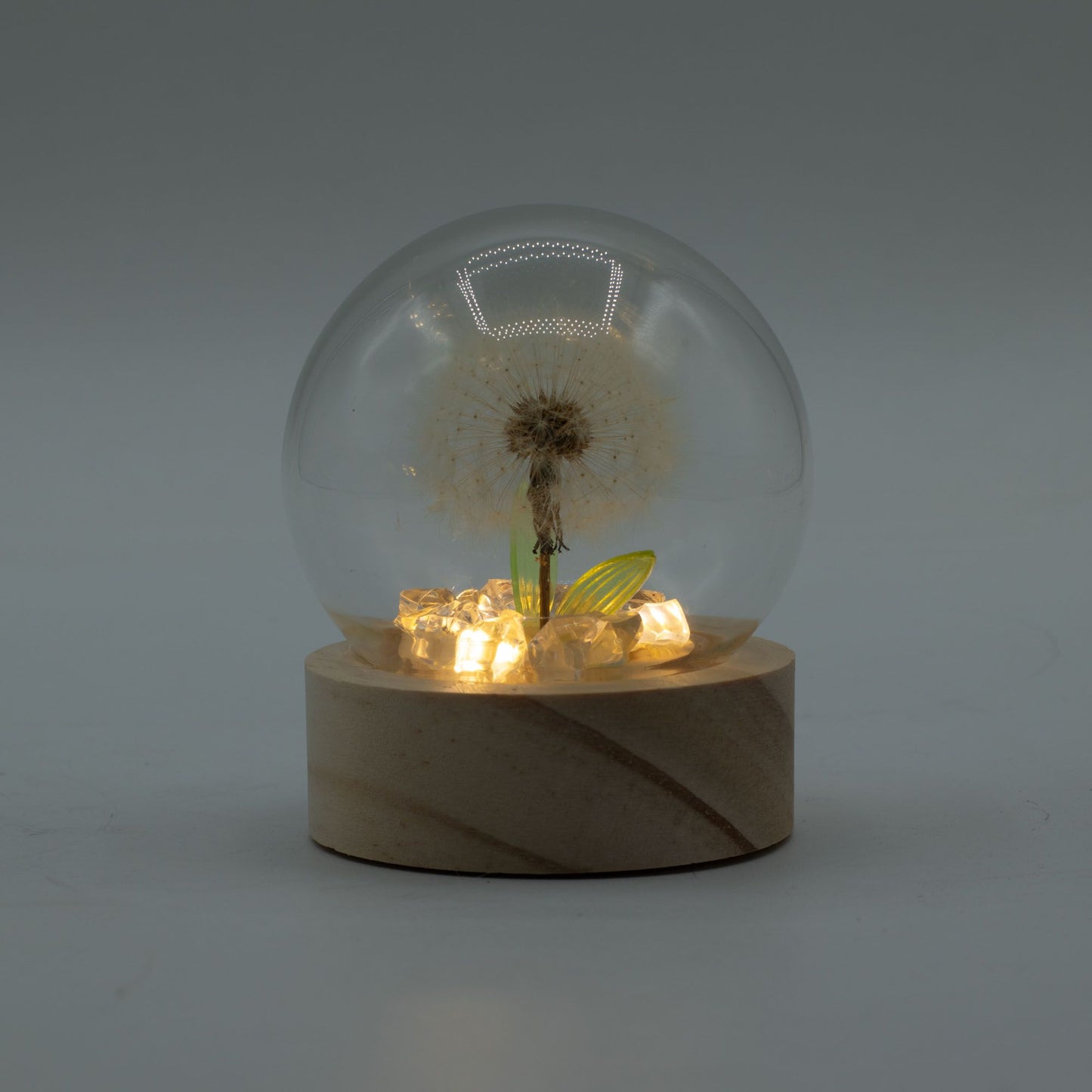 Floral Glow Garden Dome – 1 Dandelion LED Light (Wooden Base, Battery Powered)