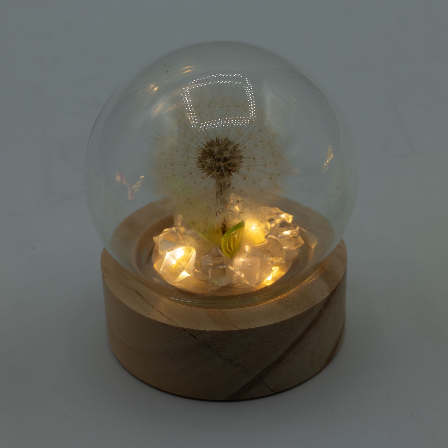 Floral Glow Garden Dome – 1 Dandelion LED Light (Wooden Base, Battery Powered)